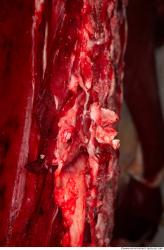 Photo Textures of RAW Beef Meat